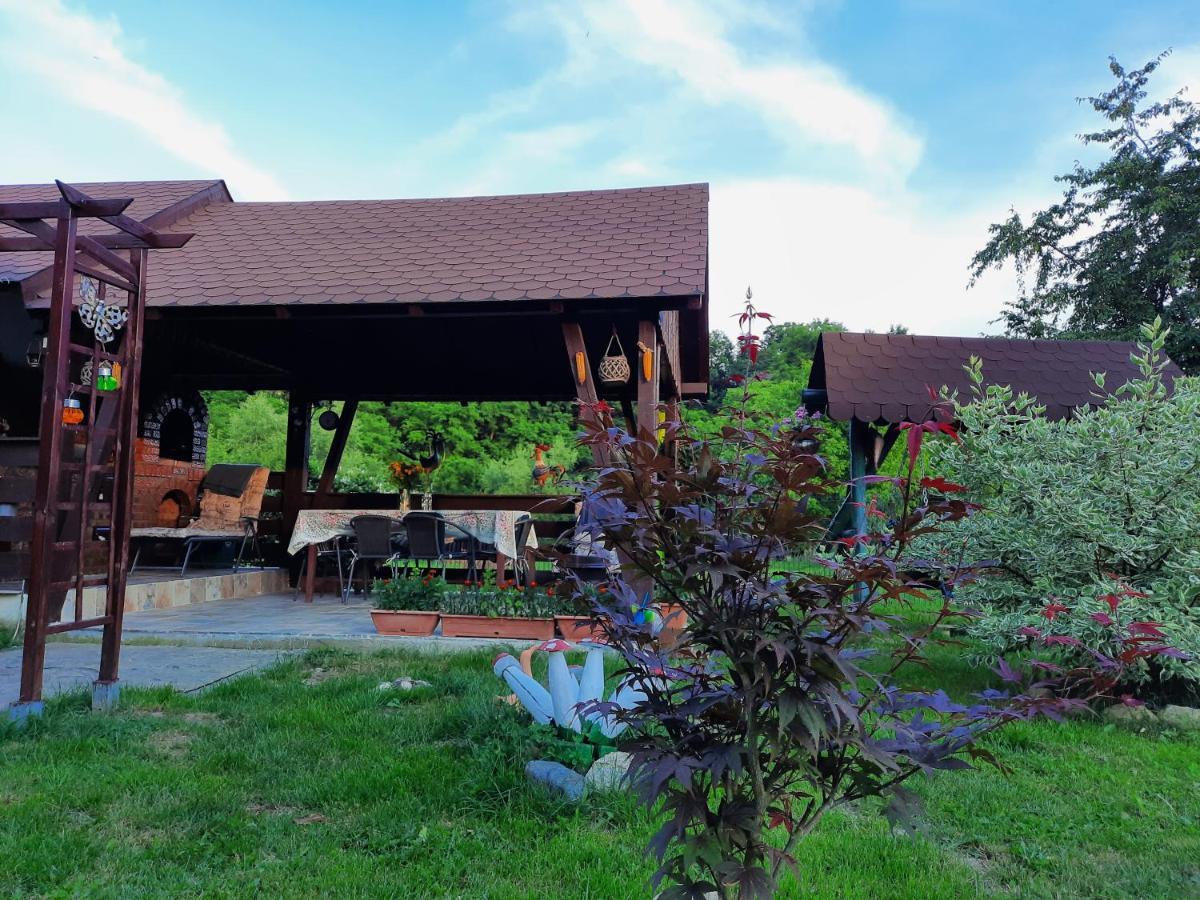 Villa Casa Bunicilor Ciprian Porumbescu Exterior foto