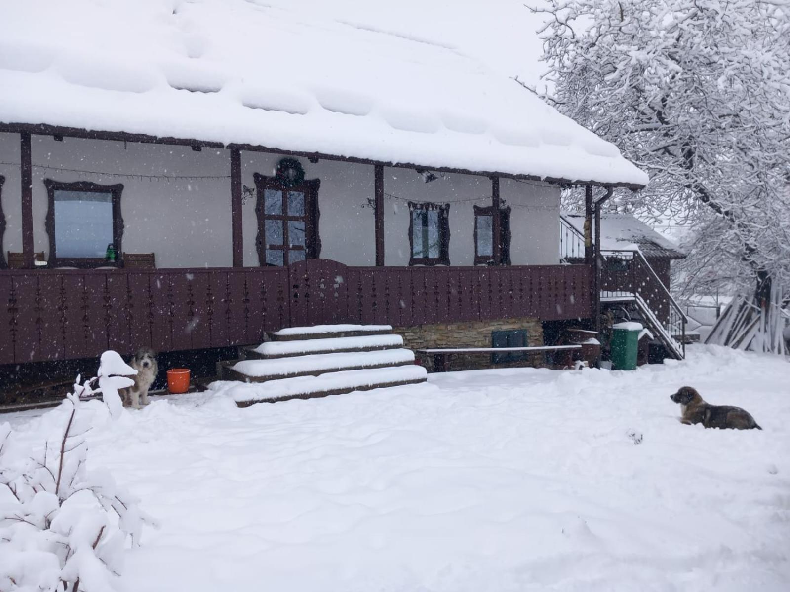 Villa Casa Bunicilor Ciprian Porumbescu Exterior foto